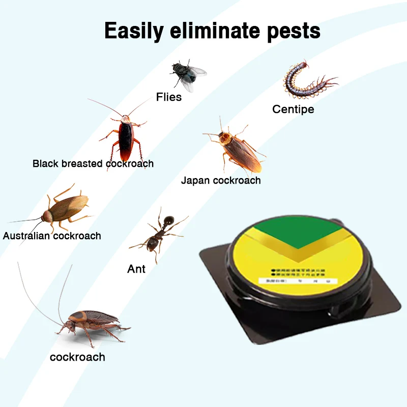 Bait Tool for Eliminating Cockroaches and Fleas