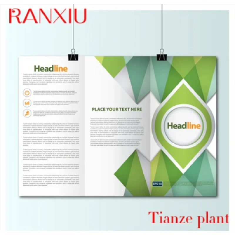 Рисунок 2 - Пользовательская 2022 печать брошюры и листовка