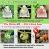 20-100PCS Vegetable Grapes Fruit Grow Bags Fruit Protection Bags Garden Anti-Bird Netting Mesh Bag Strawberry Bags Garden Tools 4