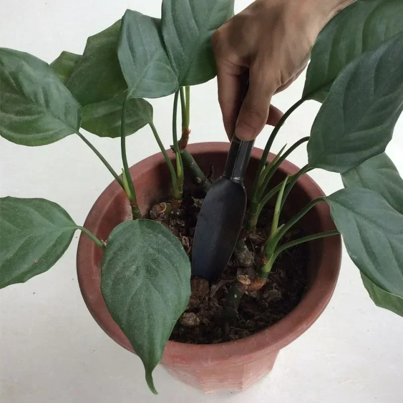 New Carbon Steel Willow Leaf Shovel Succulent Plants Planting Loose Soil Tool Outdoor Digging Shovel for Home Gardening Tools 3