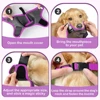 Dog Muzzle Breathable Mesh Dog Muzzle Basket Adjustable Dog Mouth Guard Muzzle with Front Opening Design for Small Medium Large 4