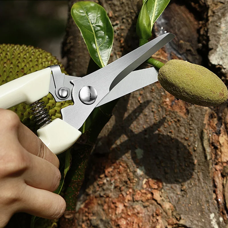 Stainless Steel Pruning & Grafting Knife Set 2