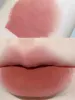 HERORANGE HR12Mud Matte Velvet Mist Concealed Lip Patterns, Comfortable and Non Drying, Simple and Compact 5