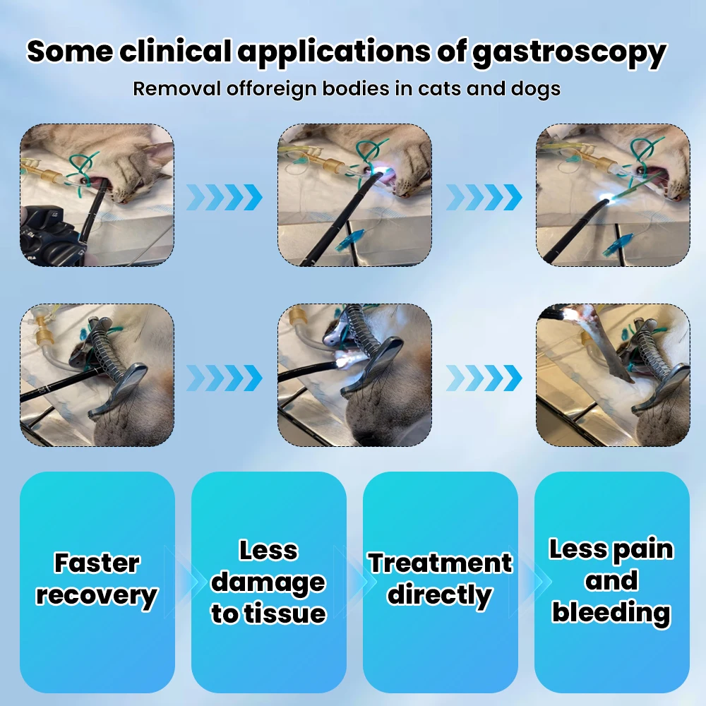 Veterinary Flexible Endoscope veterinary Bronchoscope 5.8mm Handheld Portable ve