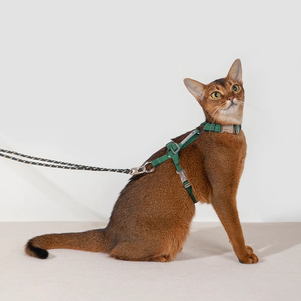 

Cat Multifunctional Harnesses Suspenders Set Comfortable Reflective I-font Structure Anti-Break Adjustable Cat Leash