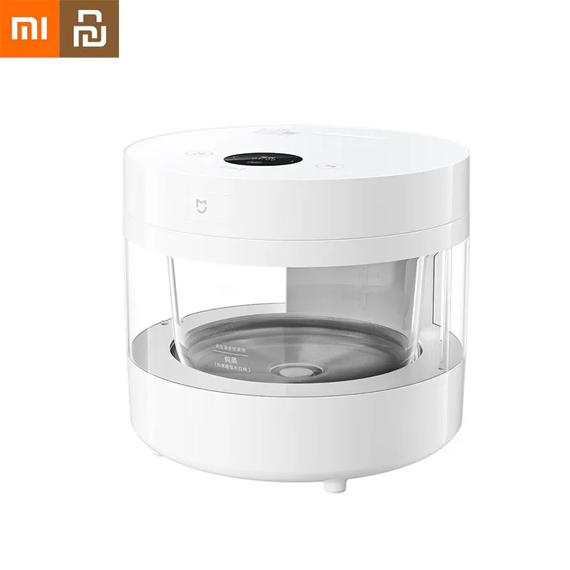 Xiaomi Mijia Transparent Steam Rice Cooker 4L High Borosilicate Glass