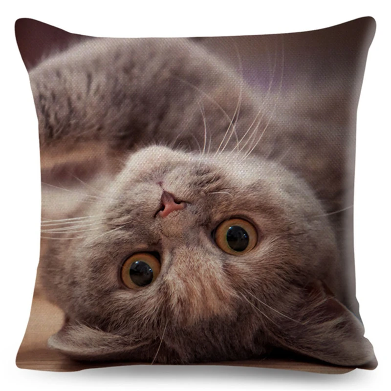 Cute Pet Animal Cushion Cover 3D Fold Ear Cat Pillow Covers 45*45cm Orange cat Blue Cat Linen Pillow Case Car Sofa Home Decor