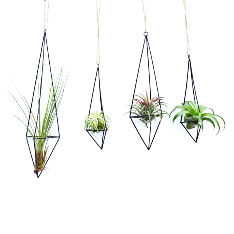 Geometrische Luft Pflanzen halter 3d visuellen Effekt moderne Tillandsia Topf behälter hängen Pflanzer Metall Pflanze Blume Luft Pflanze Rack
