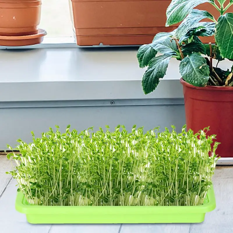 Nursery Tray For Plants Seedling Germination Soil-less Cultivation Tray Microgreens Plant Propagation Trays Healthy Wheatgrass 4