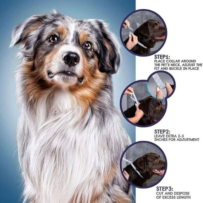 Dog Collar Pet Flea Collar Pet Collar Dog Anti Flea And Tick Collars 8Month Protection Adjustable Collar For Large Dog Puppy Cat Dogs Accessories