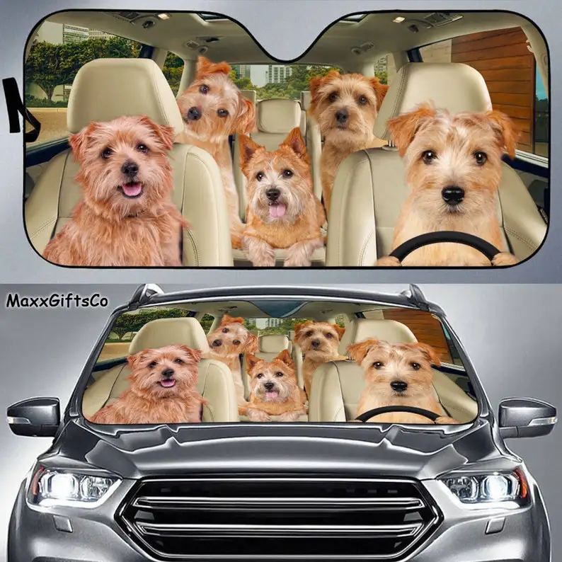 Norwich Terrier Car Sun Shade, Dogs Windshield, Dogs Family Sunshade