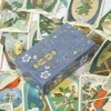 Forager'S Daughter Tarot Divination Set Inspired By Nature And Imbued With Rich Symbolism 83 Cards No Paper Guidebook 2