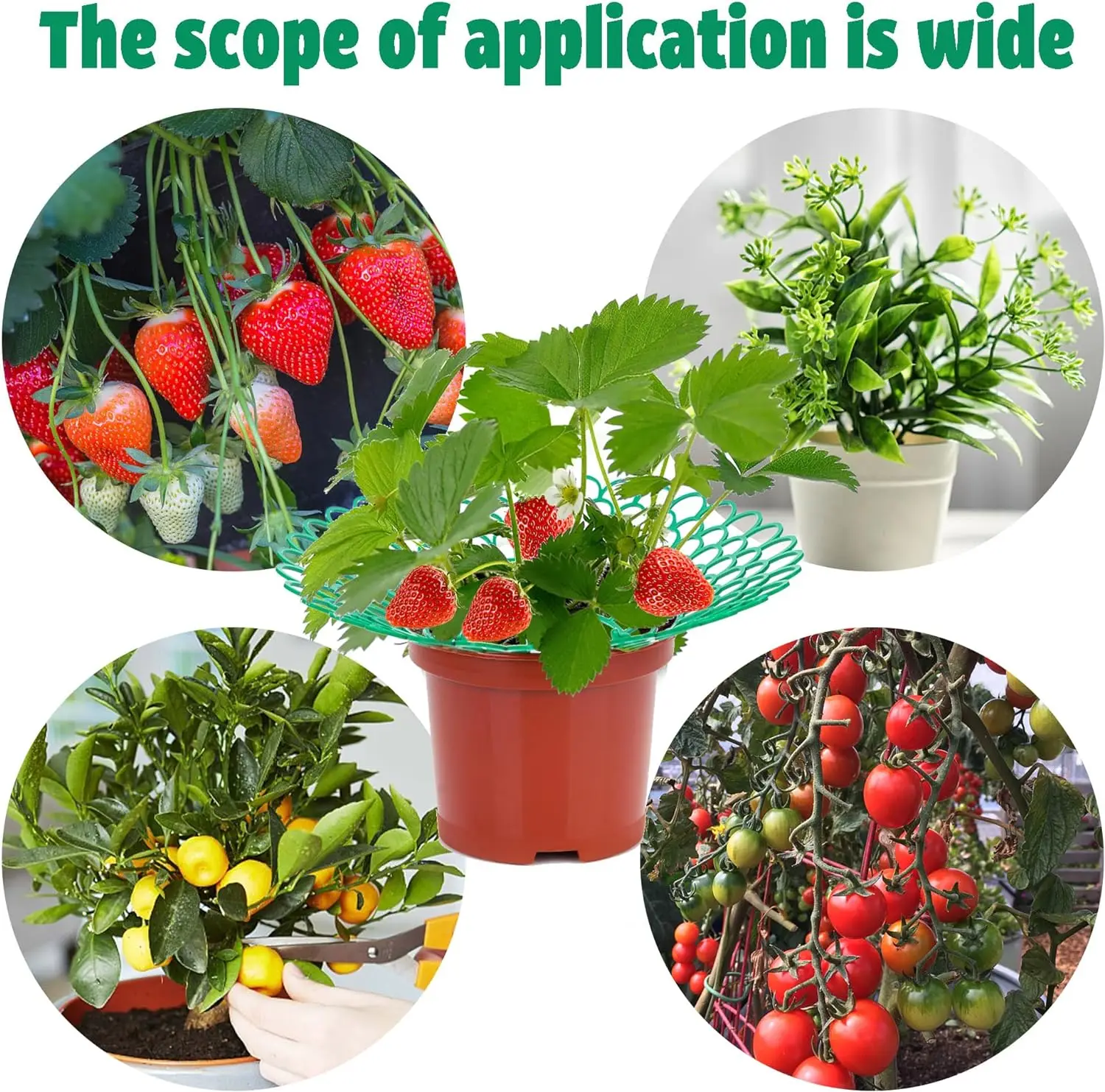 2/5/10Pcs Strawberry Support Stands with 3 Sturdy Legs Strawberry Growing Racks Berries Growing Frame Holder for Garden Homegrow plastic plant supports,plant support racks