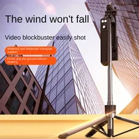 Roreta Portable Stabilizer camera tripod with wireless remote control and 360 ° rotation for video recording and live streaming - Image 2