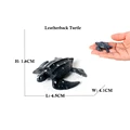 Leatherback Turtle