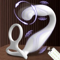 App-Steuerung, Vibrator für Männer, Prostata-Massagegerät, Dual-Penisring, Penisringe, Anal, vibrierender Buttplug, Analsexspielzeug für Männer
