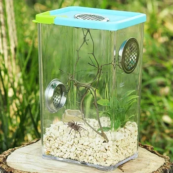Transparent Acrylic Breeding Box 1