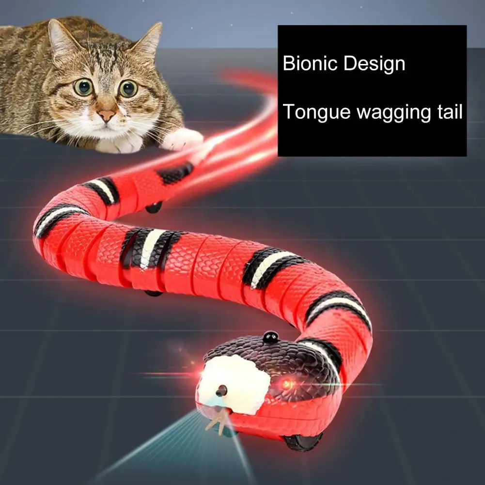 

Cat Snake Toy USB Rechargeable Snake Cat Toy Battery Operated Relieve Boredom Funny Moving Electric Tricky Snake Cat Toy