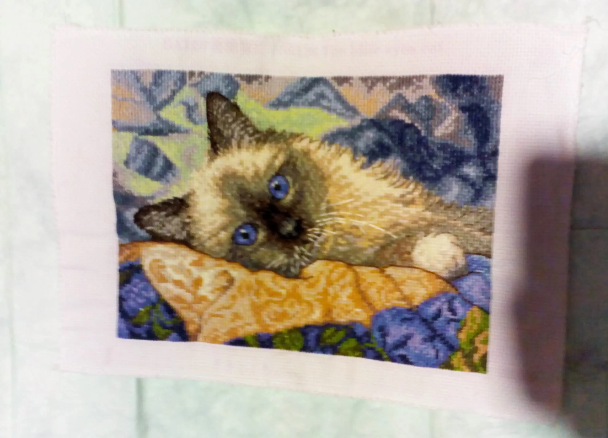 The blue eyes cat cross stitch kit aida 14ct 18ct count canvas stitches embroidery DIY handmade needlework cross stitch kit