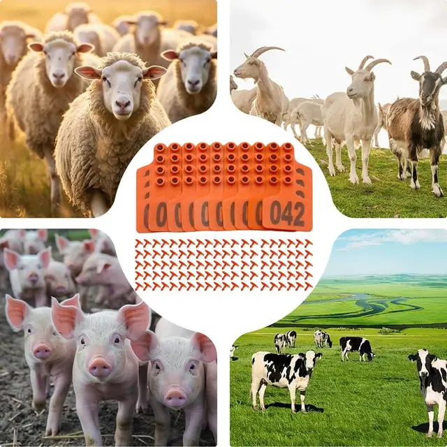 Goat Ear Tags Sheep Ear Tags Bold Font Soft Mark Label 1-100 Animal Tracking Tool For Goat Sheep Poultry Livestock Management 5
