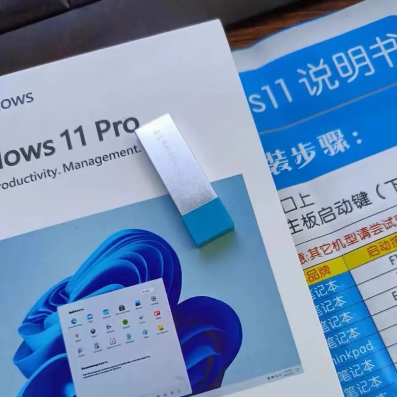 windows-10および11-proシステム用のオリジナルusbフラッシュドライブ英語版