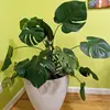 Plastics Moss Pole Plastics Stackable Moss Totem Pole Stick Sphagnum Moss Pole Moss Stick For Orchid Monstera Flowers Climbing 1