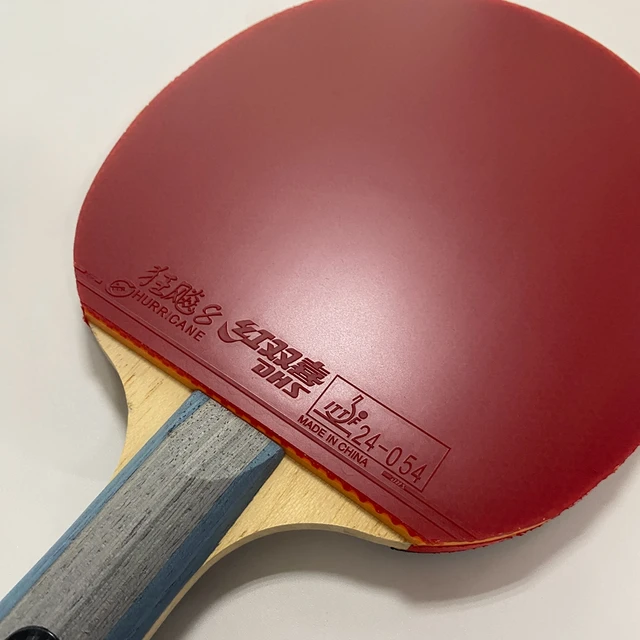 DHS 6002 Professional Table Tennis Racket, Hurricane 8 and Tin Arc Rubber, FL Handle Shake Hold Ping Pong Bat with Case 2