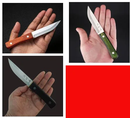 Fruit Knife Mongolian Hand Held Small Knife For Lamb Eating Outdoor  Portable Dining Knife Kitchen Small Knife With Leather Cover - AliExpress