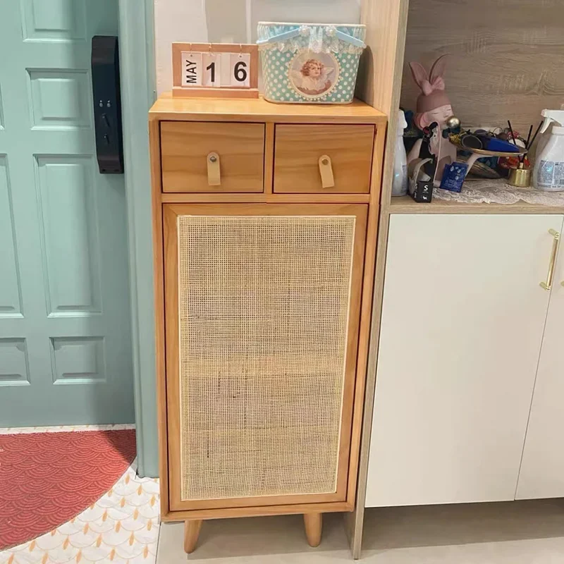 

Organizers Narrow Shoe Cabinets Rattan Shoebox Modularshelves Shoe Cabinets Curio Minimalist Schoenen Opbergen Home Furnitures