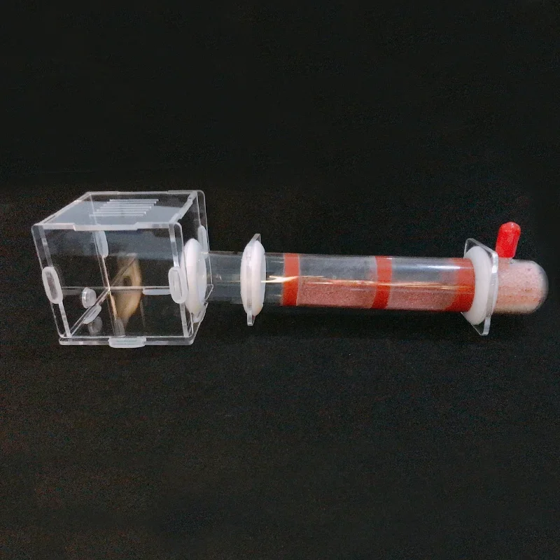Bamboo Tube Ant FarmBamboo Tube Ant Farm 6