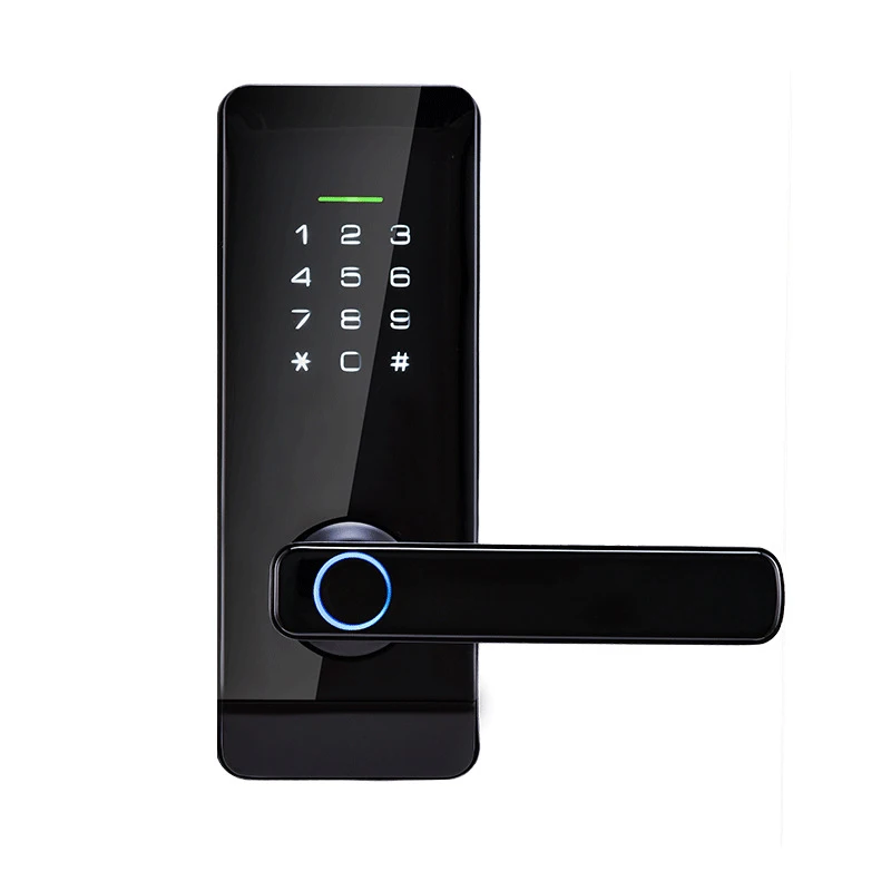 

New smart electronic lock fingerprint password read Carmen lock TUYA App control unlock keyless electronic password door lock