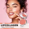 Rose Gold Air Cushion Lip Mask Removes Dead Skin Lightening Lip Lines Moisturizing  Dead Skin Repair Anti-cracking Lip Balm 2