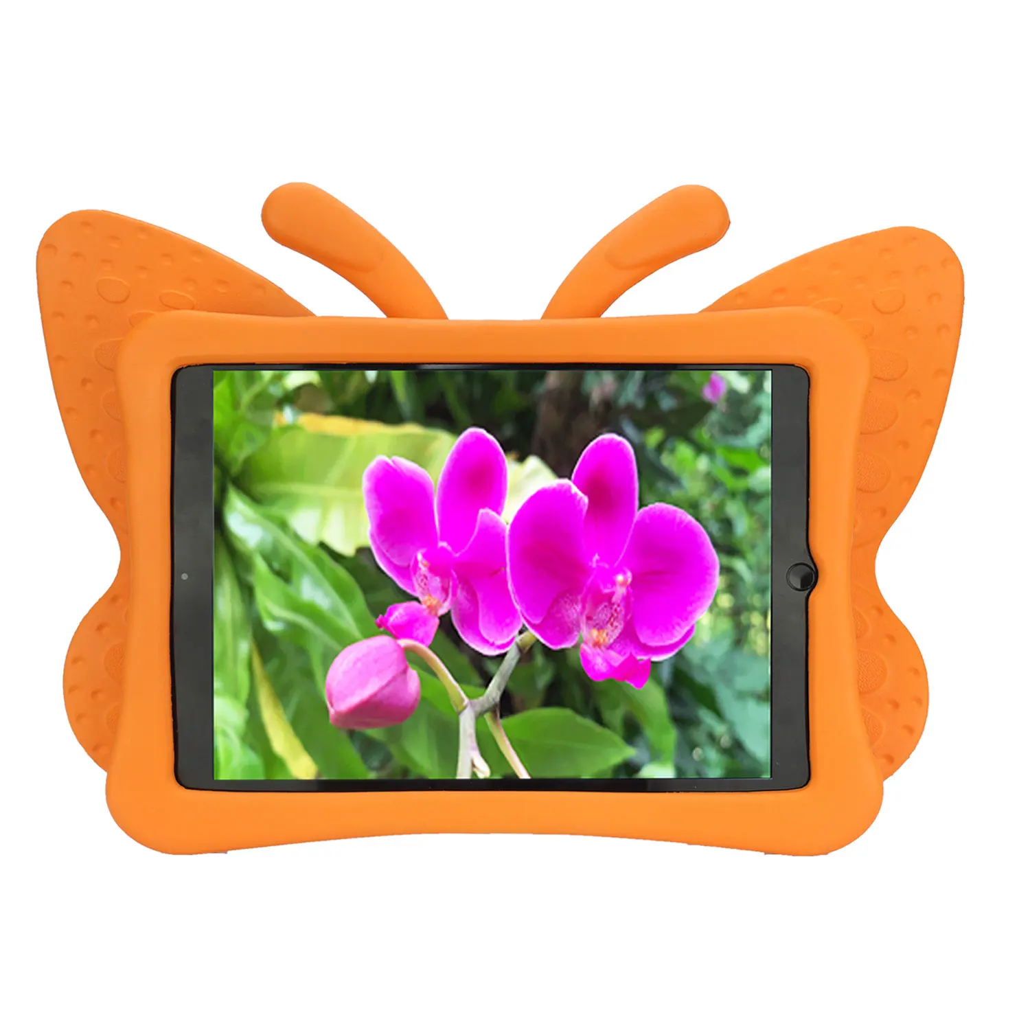 Butterfly Stand Case