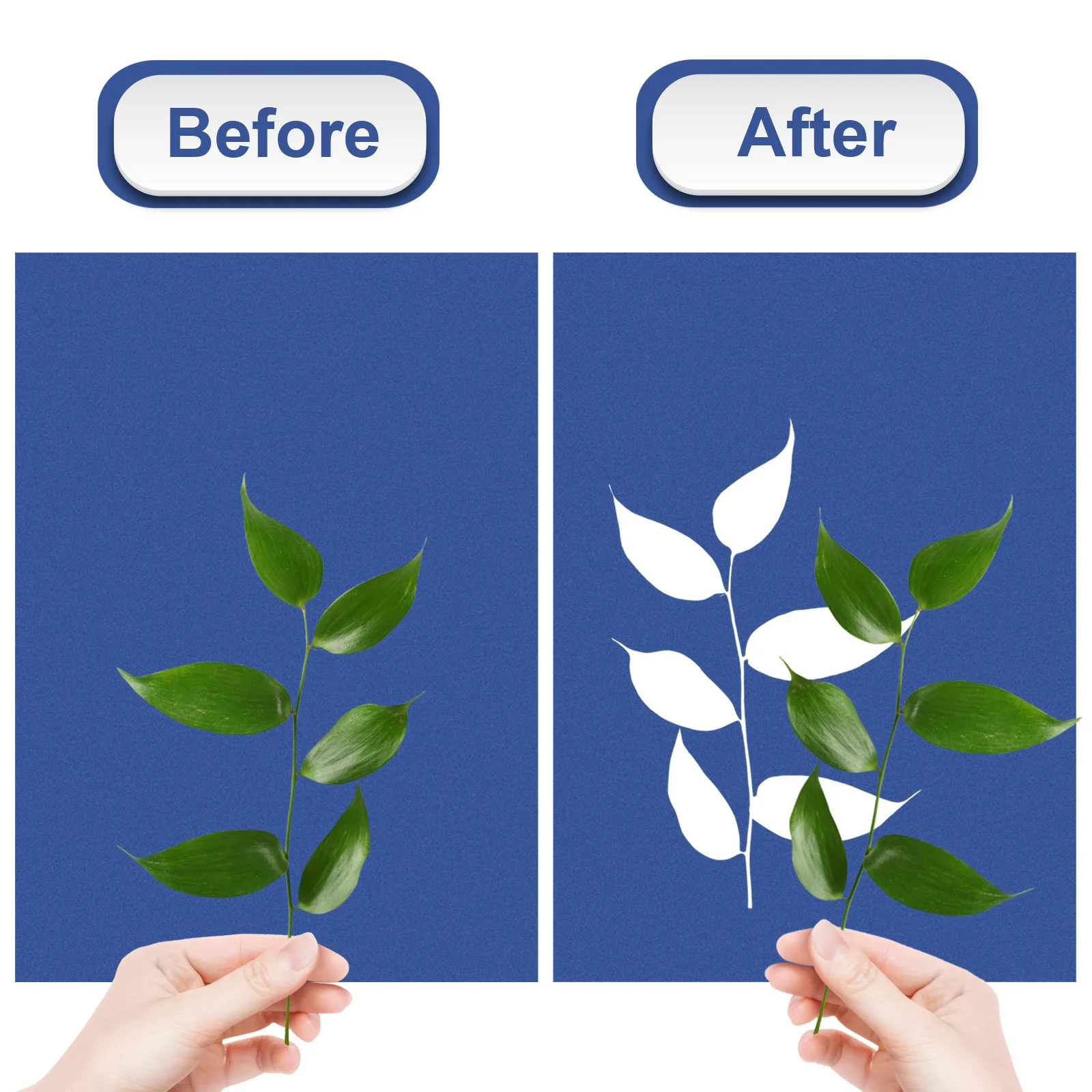 Cyanotype 태양 종이 인쇄 DIY 종이 활성화 태양 천연 섬유 PVC 어린이