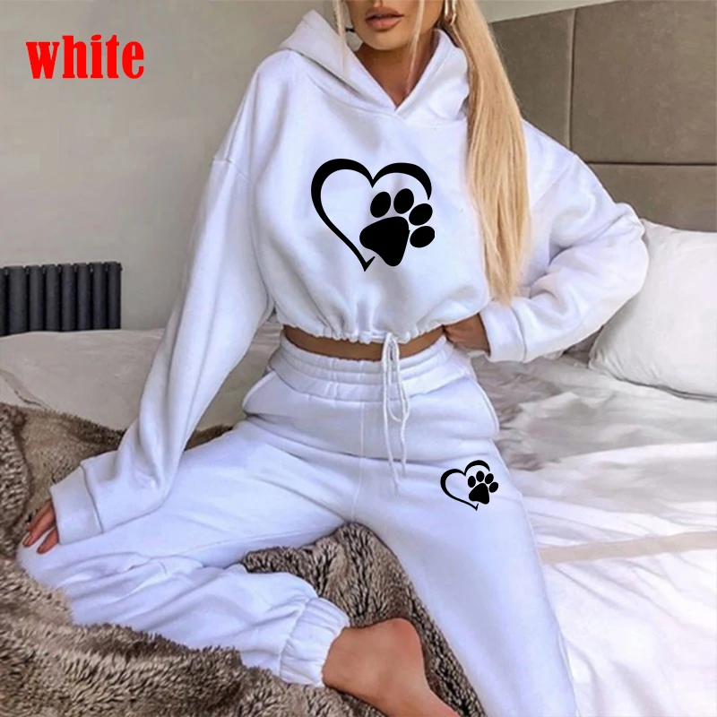 New Women Tracksuit Hoodie and Pants Casual Sport Suit Winter 2 Piece Set 8 Colors Jogging Suit