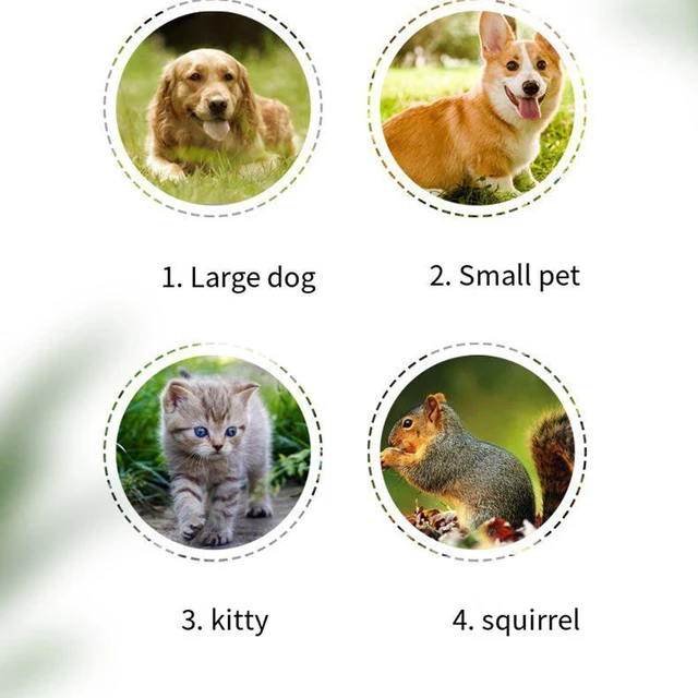 1 battery pet electric nail polish remover with 1st gear speed suitable for 2 AAA batteries, suitable for cats and dogs 2