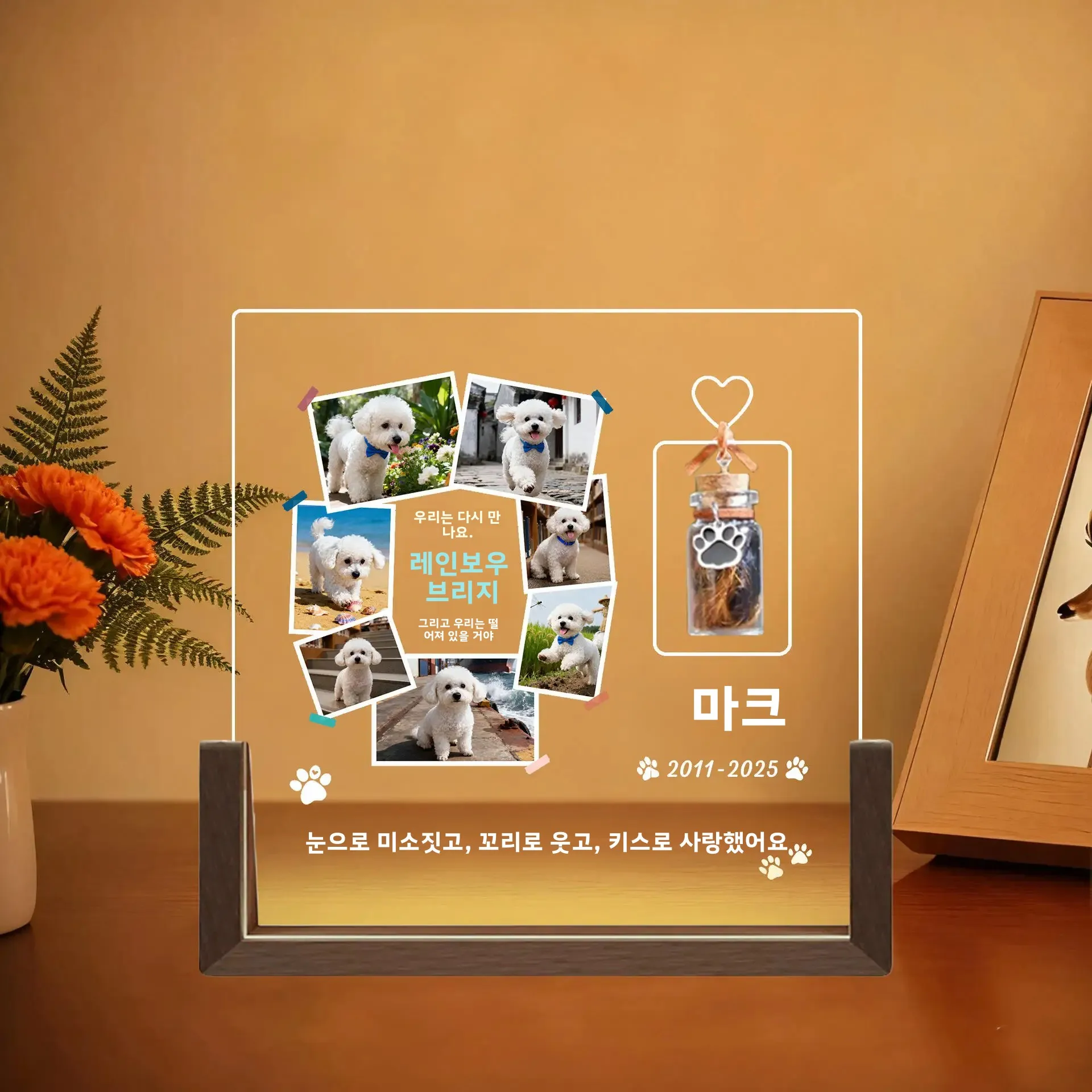 맞춤형 반려동물 추모 야간 조명, 유리병에 담긴 사진 기념품, 유골, 털, 이빨 보관, 진심 어린 위로 선물