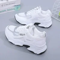 Spring Autumn Dad Shoes Trendy Mesh Breathable Casual Anti-slip Odor Resistant Running Shoes New Model 2025 Canvas Upgraded PU I