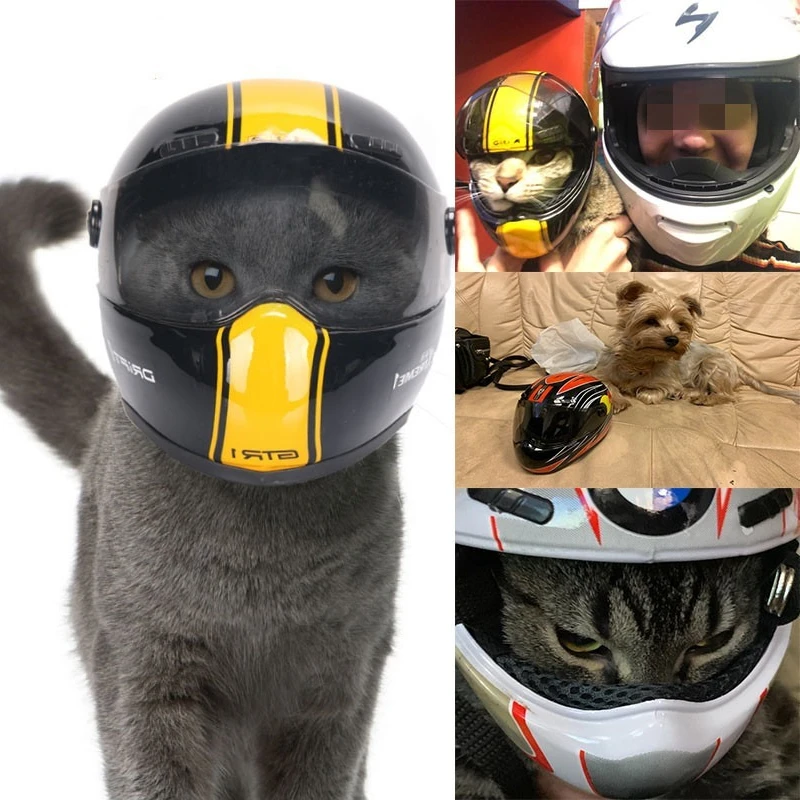 Cappello da cane per casco bello per animali domestici cappello da esterno  anticollisione per cane gatto crea Styling foto Mini cappelli per casco da moto  per cani|Dog Caps| - AliExpress