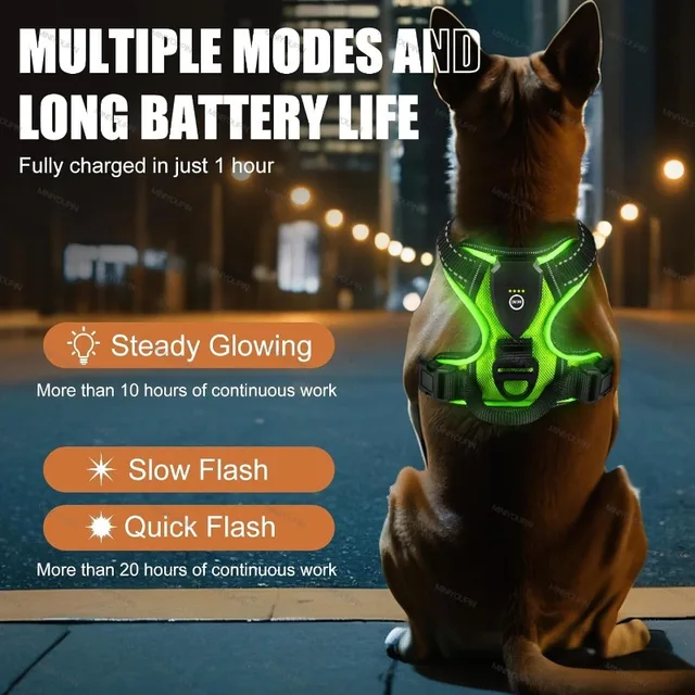 LED Glowing Luminous Dog Harnesses Essential for Dog Walking Safety at Night Dog Vest with Three LED Light Modes Rechargeable 2