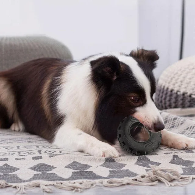 Pet Toy Dog Molar Bite Resistant Interactive Tire Toy Pet Cleaning Teeth Dog Toys for Large Dogs Pet Products Dog Items 2