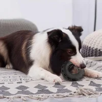 Pet Toy Dog Molar Bite Resistant Interactive Tire Toy Pet Cleaning Teeth Dog Toys for Large Dogs Pet Products Dog Items 2