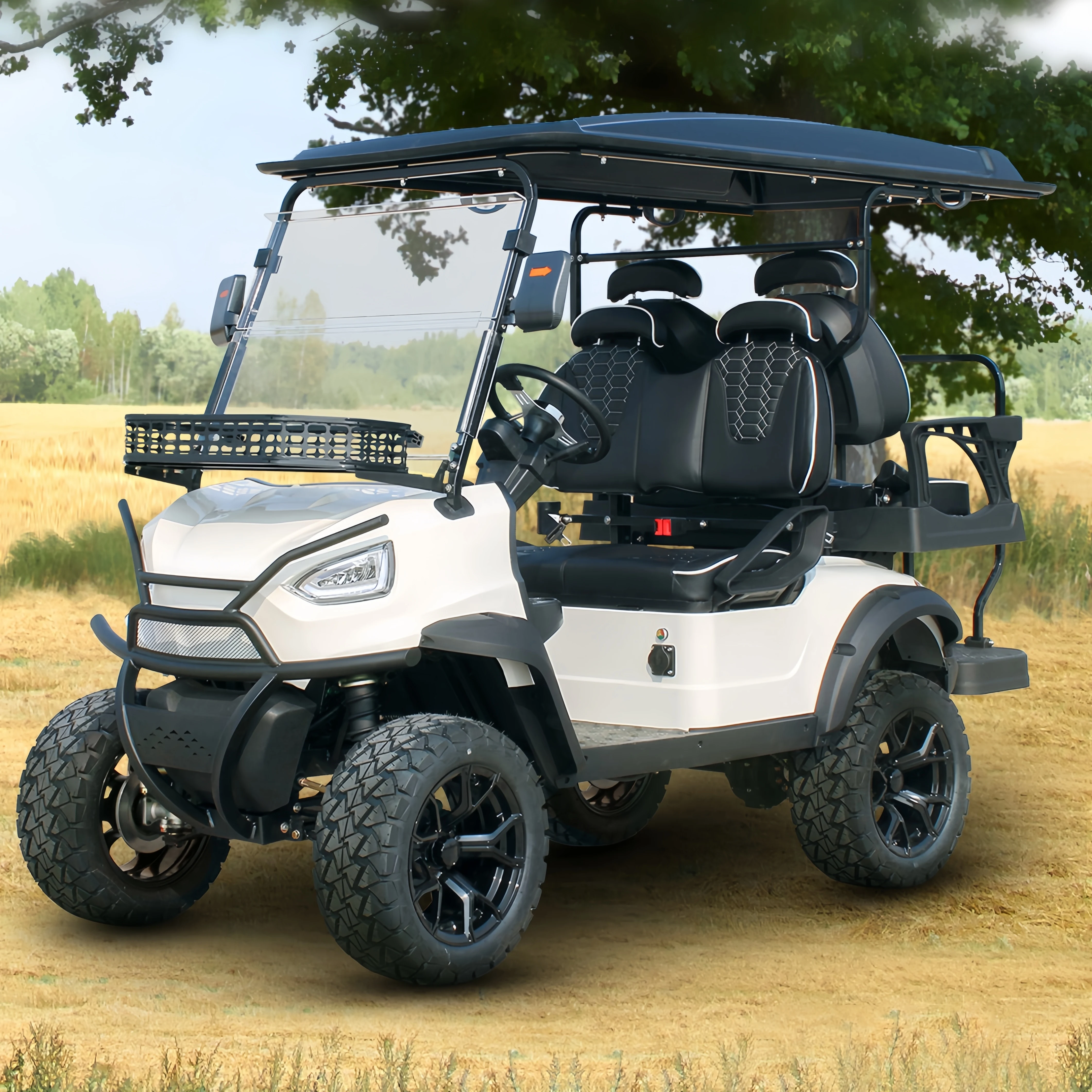 2 4 6 Seat Electric Lithium Battery Golf Cart with luxury seat Hunting Golf Buggy car with DOT CE EEC