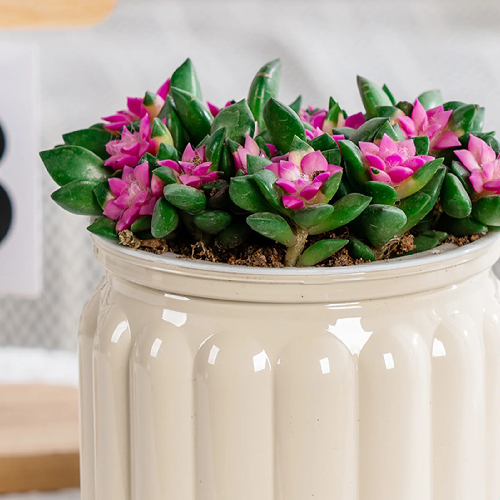Self Watering Flower Planter 4