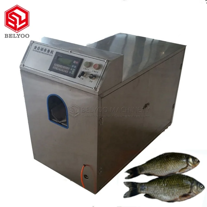 Tilapia Yellow Croaker Visceri Rimozione Scaling Cleaning Machine Automatic Carp Fish Scaler Killer Machines In Vendita