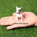 Dog 20