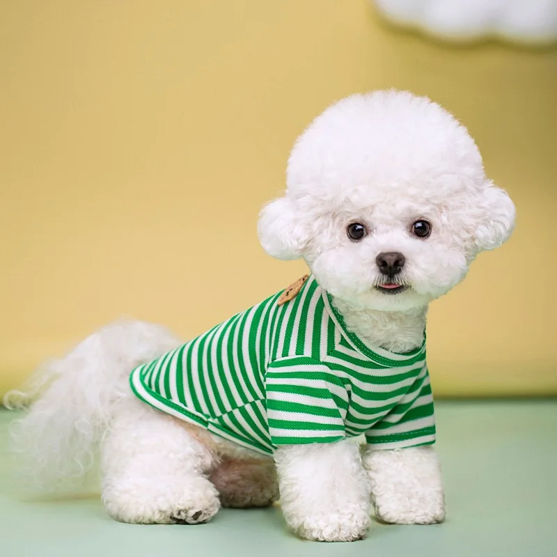 Summer Bear Dog Shirt 4