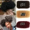 Rebecca Brazilian Remy Hair Afro kinky Curly Bulk Human Hair For Braiding 1 Bundle 50g/pc Natural Color Braids No Weft