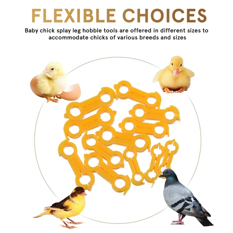 BQ-Baby Chick Splay Leg Hobble Brace, 12Pcs 치킨 호블 브레이스, 치킨 레그 호블, 가금류 다리 밴드