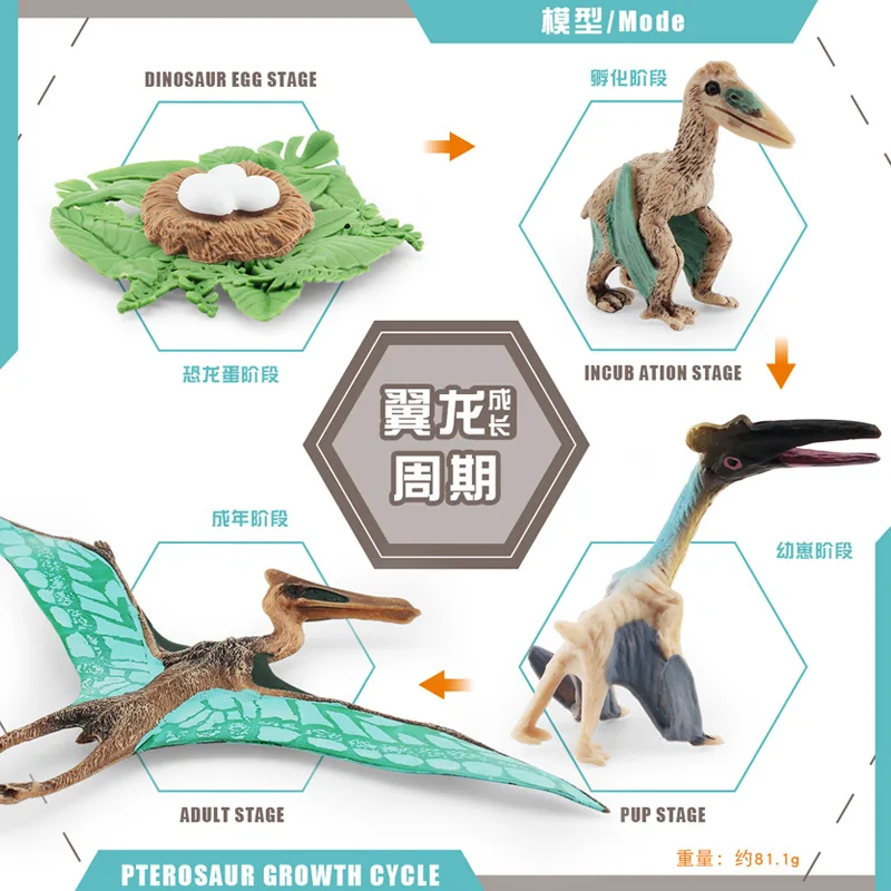 Dinosaur Growth Cycle Dinosaur Model Toy Animal Life Cycle Board Children Toys Montessori Teaching Aids preschool cognitive Toys 4
